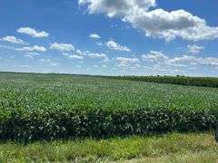 30 + or – Acre Prime Effingham County Land