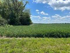 30 + or – Acre Prime Effingham County Land
