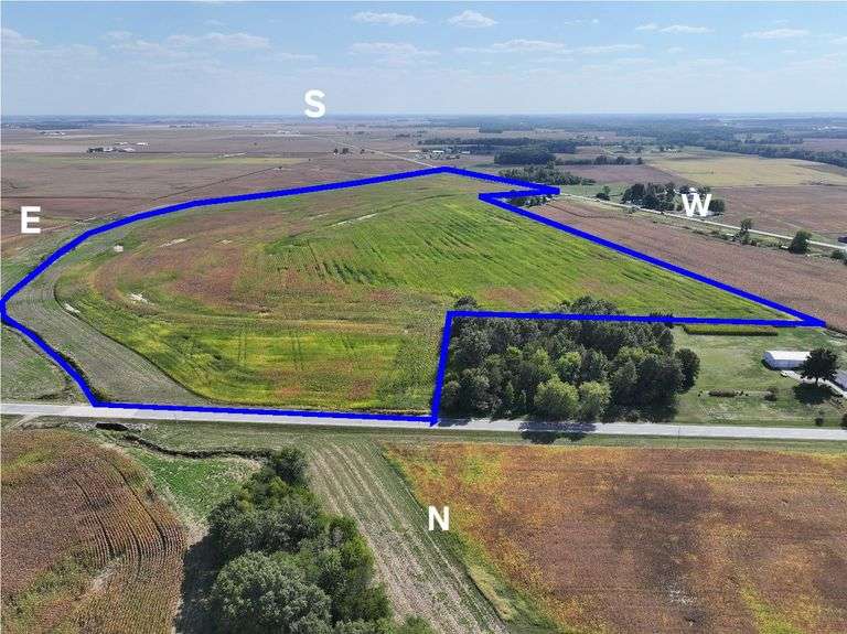 96.72 + or - Acre Land Auction (live in person auction w/internet bidding Jasper County)