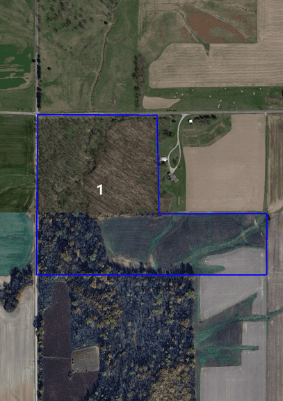 Tract 1: 41.26 +/- Surveyed Acres (10 +/– Tillable; 31.26 Incredible Hunting Land) Located in Section 23, Smallwood Township, Jasper County, IL Road Frontage on 100N  Large marketable trees!