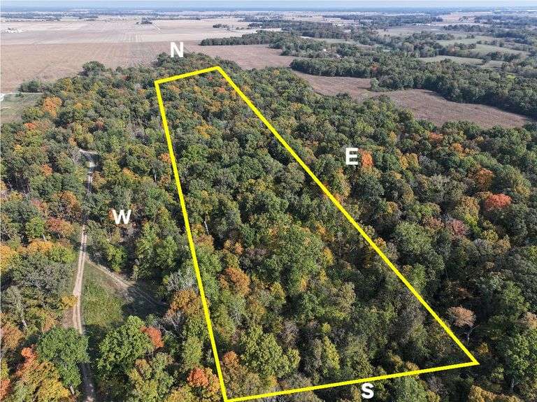 23 + or – Acres wooded hunting land located in Sec. 18, Wheatland Township, Fayette County, IL (Ideal places on the northside for a cabin! Whitetail Deer, Wild Turkey, marketable timber, Walnut Creek runs through the southside of the property! Walking in the woods we saw Red Oak, White Oak, and  Walnut Trees!