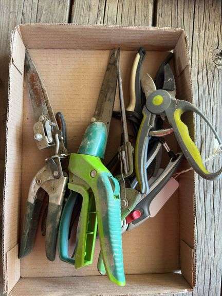 Small Pruner and pruning shears