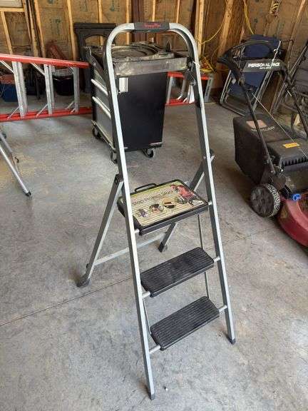 3ft Step Ladder