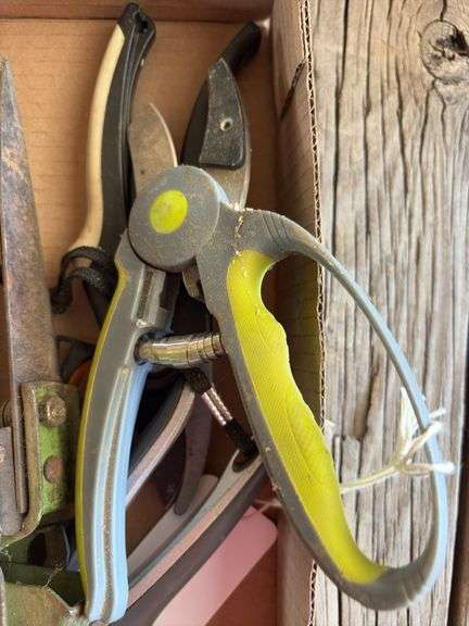 Small Pruner and pruning shears