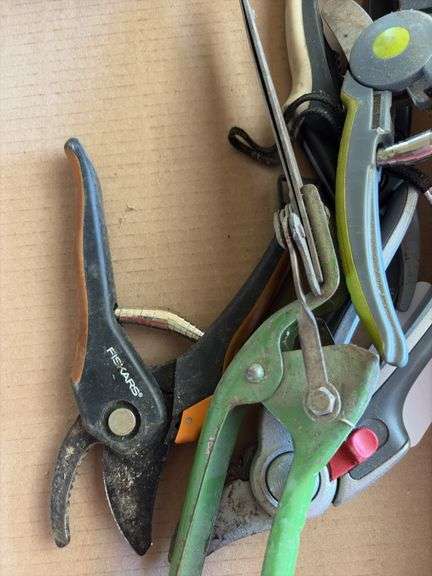 Small Pruner and pruning shears