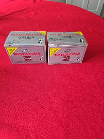 20 GA - 2 3/4  rifled slugs hollow point