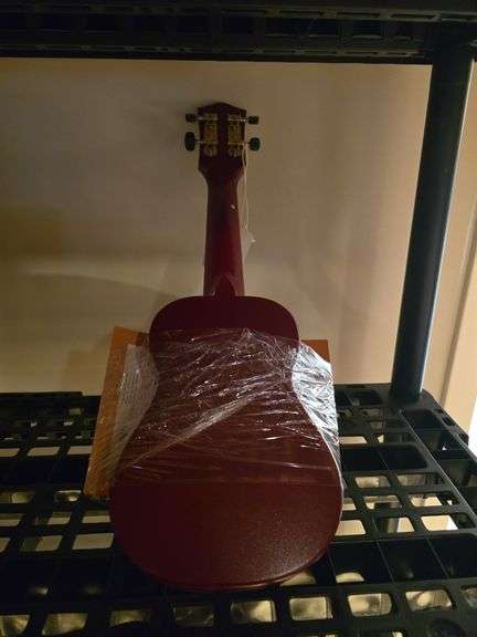 Ukulele with learning book