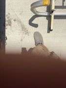 24ft Extension Ladder