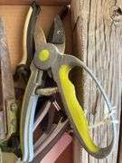 Small Pruner and pruning shears