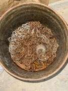 2 Buckets of Small Chains