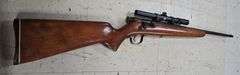 Savage Arms 22 Lever Action Rifle, 22 Gauge with scope, LR, s/n- P307501