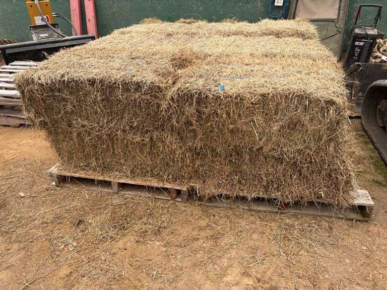 50 Bales of Small Square Grass Hay, stored inside.
