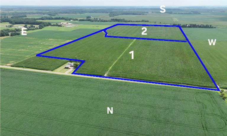  250.94 Acres Absolute Land Auction, Effingham and Jasper County (ONLINE ONLY TIMED AUCTION)