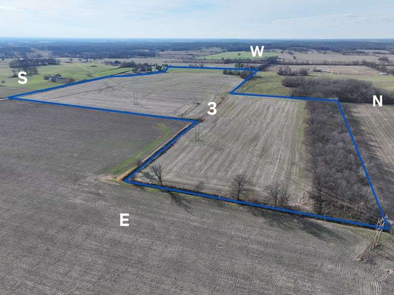 Tract 3 • 73.9 + or – Acres, 67.14 + or – acres tillable, 4.93 wooded acres w/large trees, located in Sec 8 East Eldorado Township, Saline County, IL Property. Soil Productivity Index 96.2. Located on Pfeifer Rd. property #06-08-100-001 & 06-08-300-014. Click on documents for soil map.