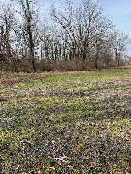 53 + or -  Acres of farmland and wooded land. Parcel # 03-33-400-008. Complete details will be posted by Feb 23rd.