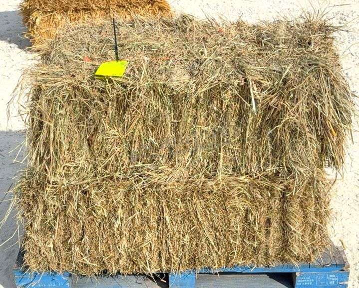 50 small square bales of brome grass hay