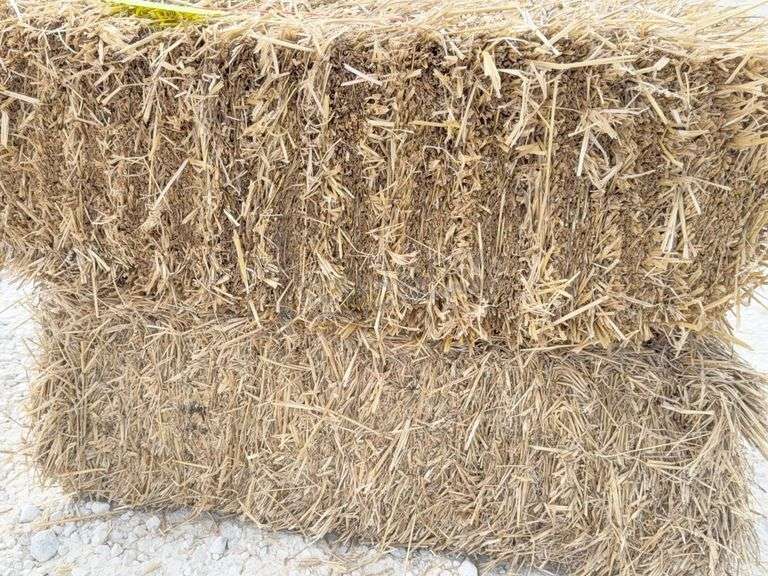 50 small square bales of straw