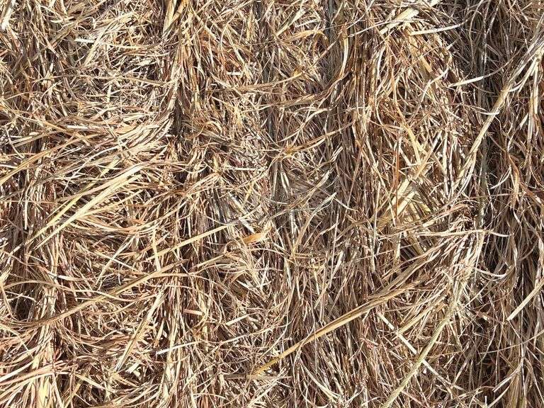 10- 4'x5' round bales of grass hay baled this year