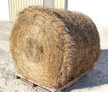 10- 4'x5' round bales of grass hay baled this year
