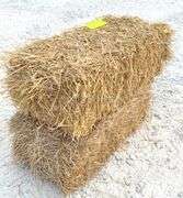 50 small square bales of straw