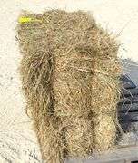 50 small square bales of brome grass hay