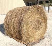 10- 4'x5' round bales of grass hay baled this year