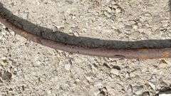 Steel bale feed ring