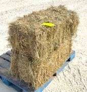 50 small square bales of brome grass hay
