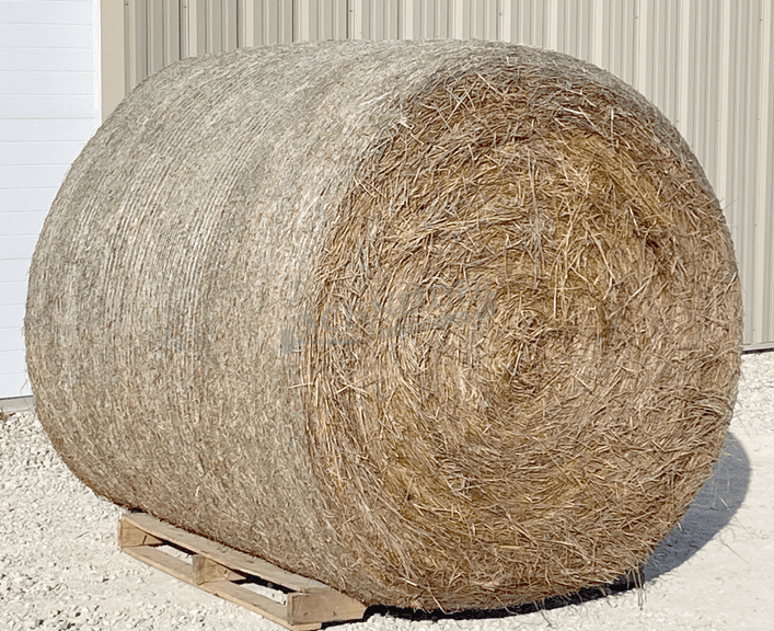 10- 5'x5' bales of fescue/orchard grass net wrapped hay