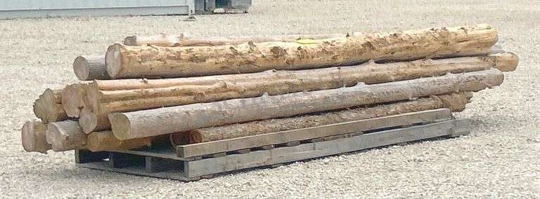 Group of cedar posts up to 12.5' long