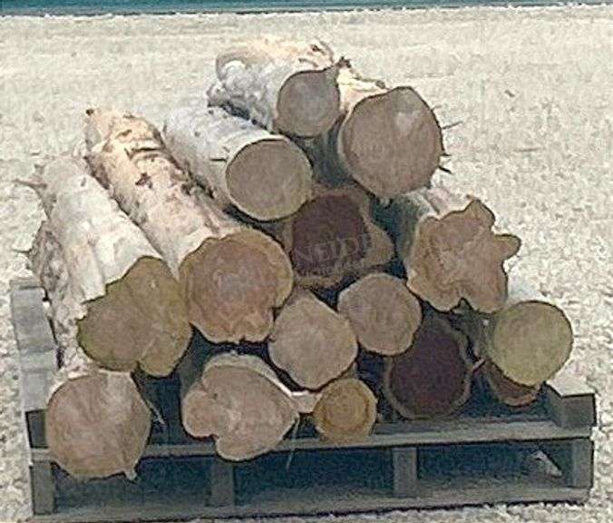 Group of cedar posts up to 12.5' long