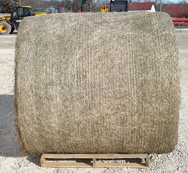 10- 5'x5' bales of fescue/orchard grass net wrapped hay