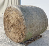 10- 5'x5' bales of fescue/orchard grass net wrapped hay