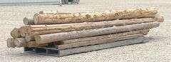 Group of cedar posts up to 12.5' long