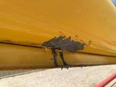 Westfield MK 130-81 transport auger