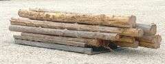 Group of cedar posts up to 12.5' long