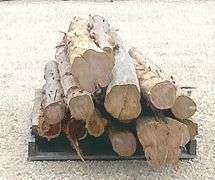 Group of cedar posts up to 12.5' long