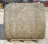 10- 5'x5' bales of fescue/orchard grass net wrapped hay