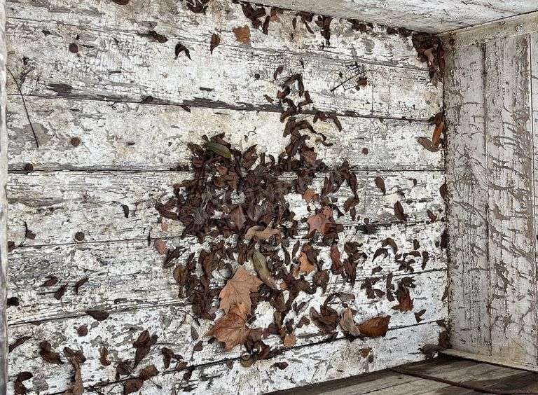 3'x5' 3-point carry all