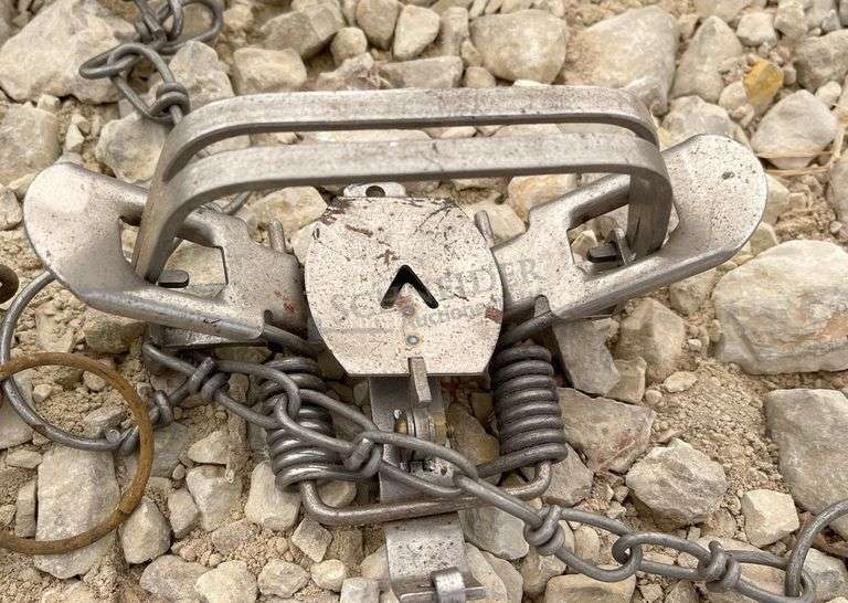 Group of 48 Victor double coil spring traps