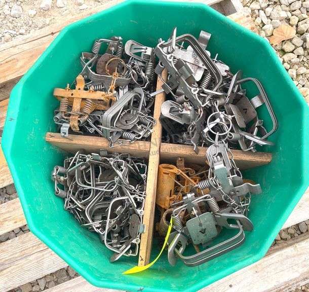 Group of 48 Victor double coil spring traps
