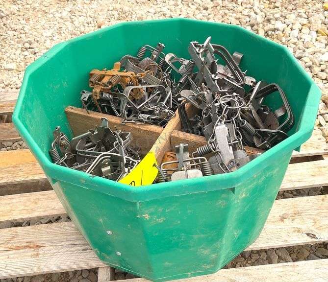 Group of 48 Victor double coil spring traps