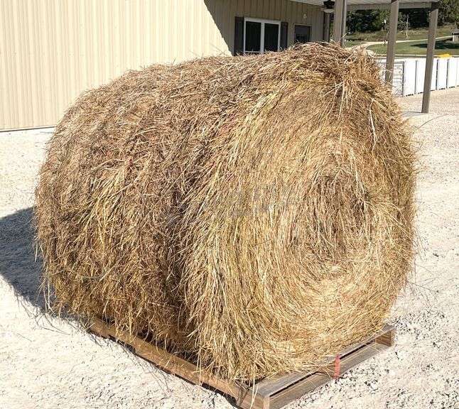 10- 4'x5' round bales of grass hay baled this year