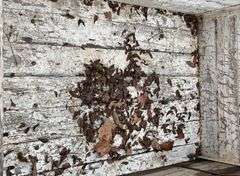 3'x5' 3-point carry all