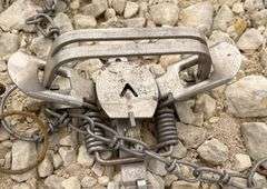 Group of 48 Victor double coil spring traps