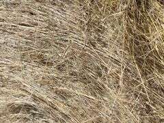 10- 4'x5' bales of grass hay