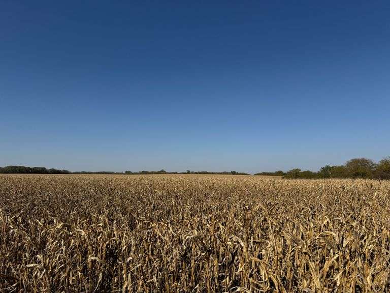 TRACT III - 149.3 ACRES WASHINGTON COUNTY