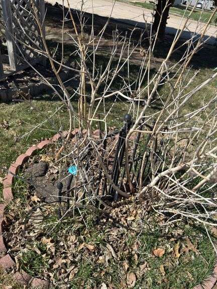 WROUGHT IRON PRIMITIVE ART FOR PLANT