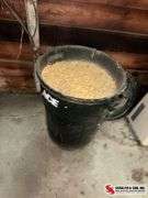 Trash can of corn