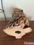 Ceramic owl  14 in